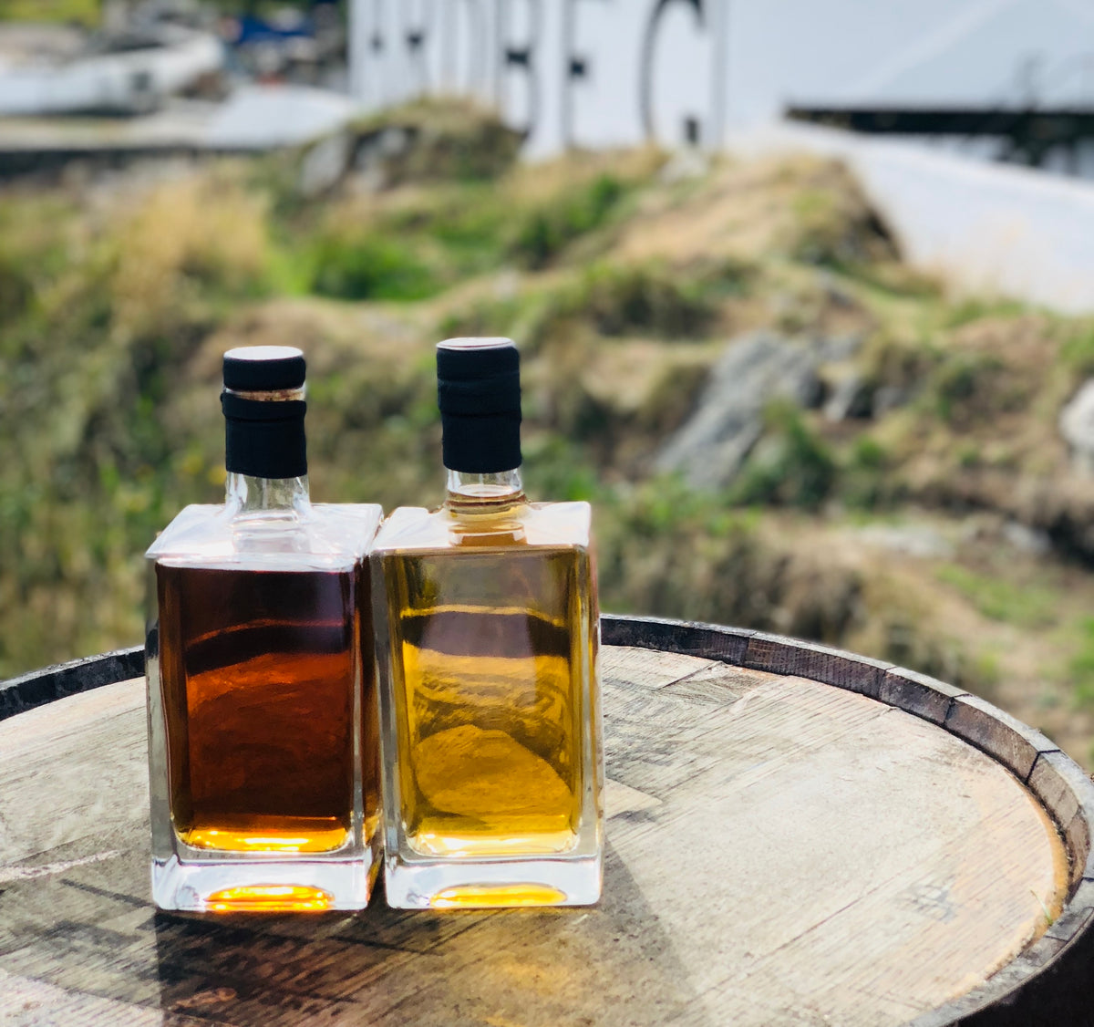 single cask scotch whiskies
