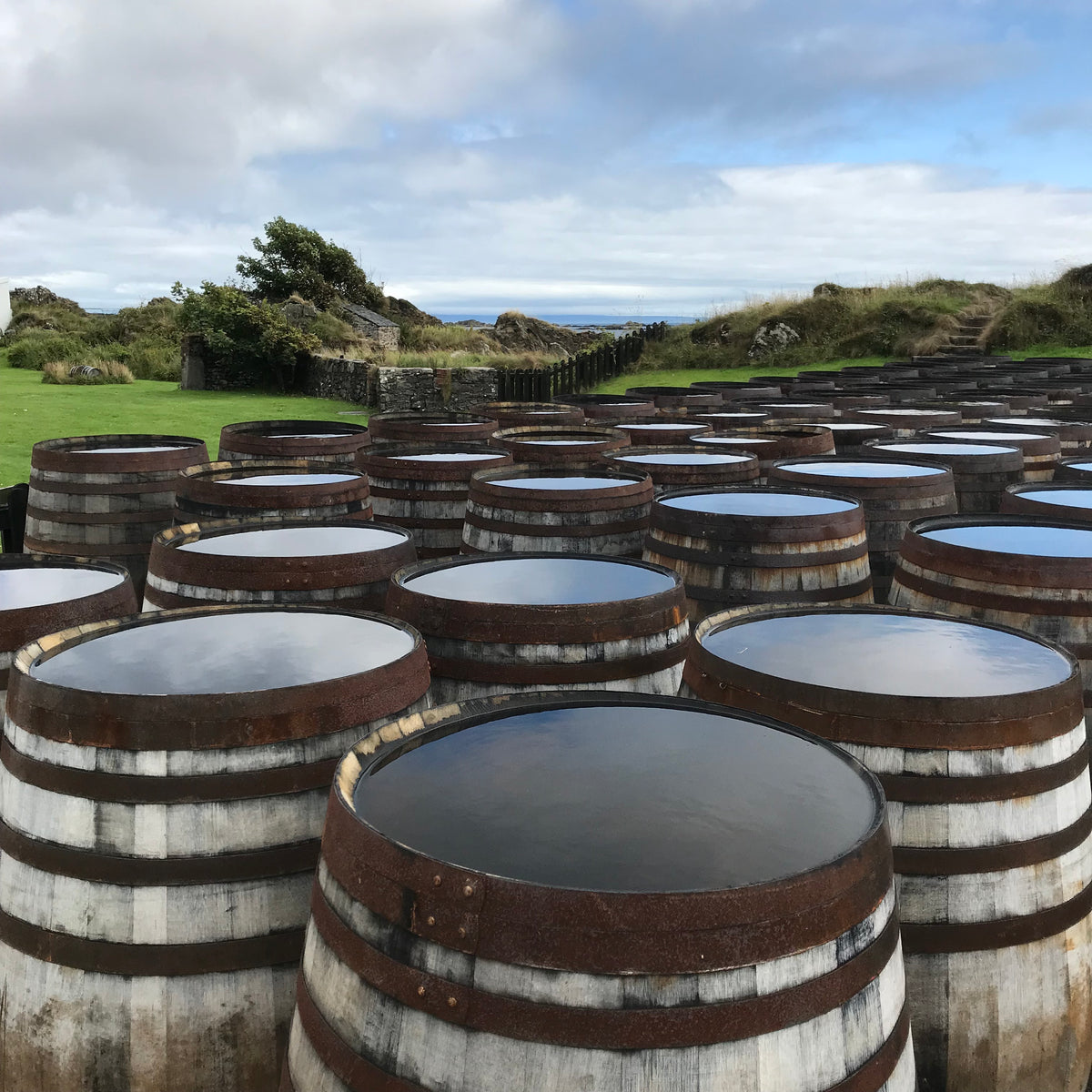 How water makes your whisky