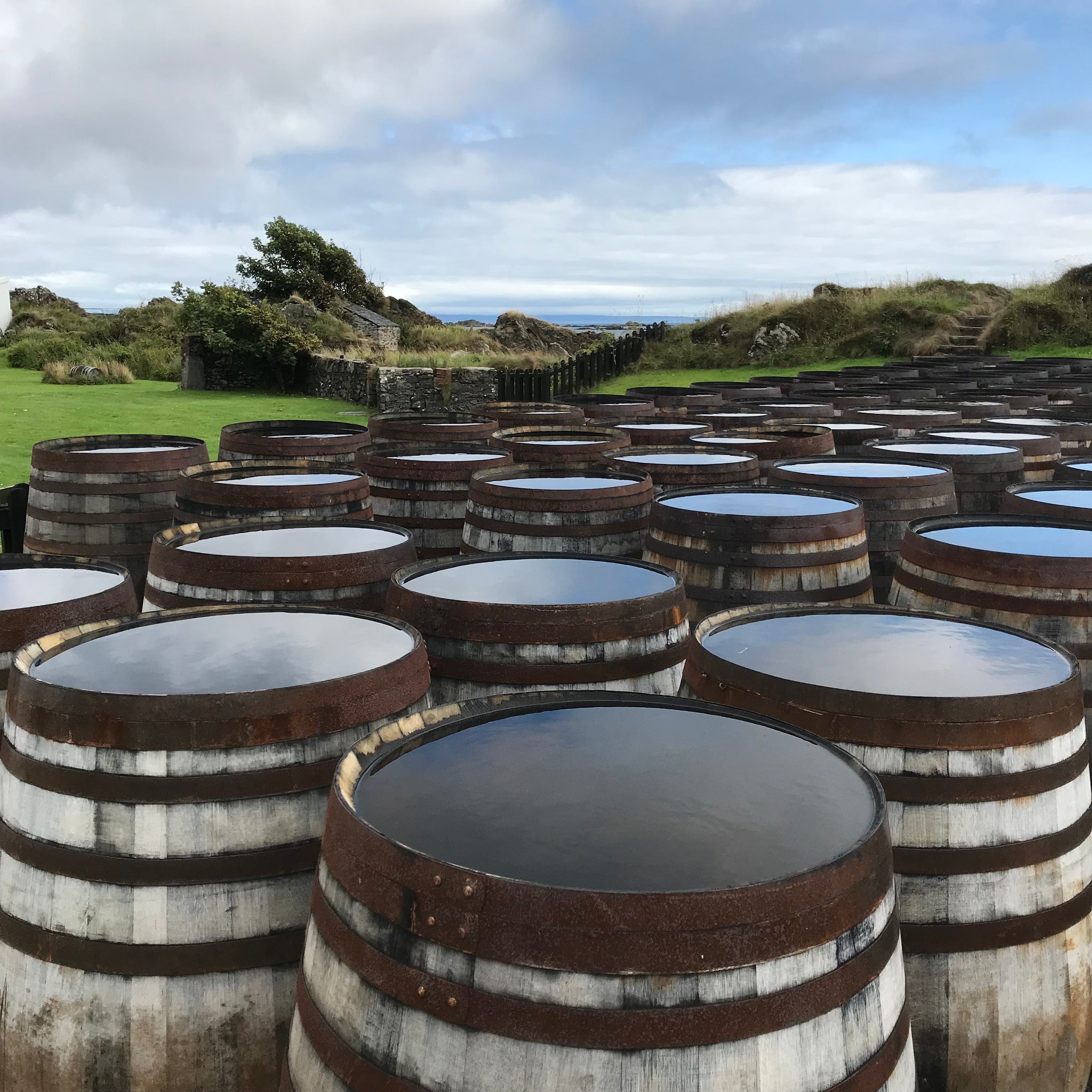 How water makes your whisky