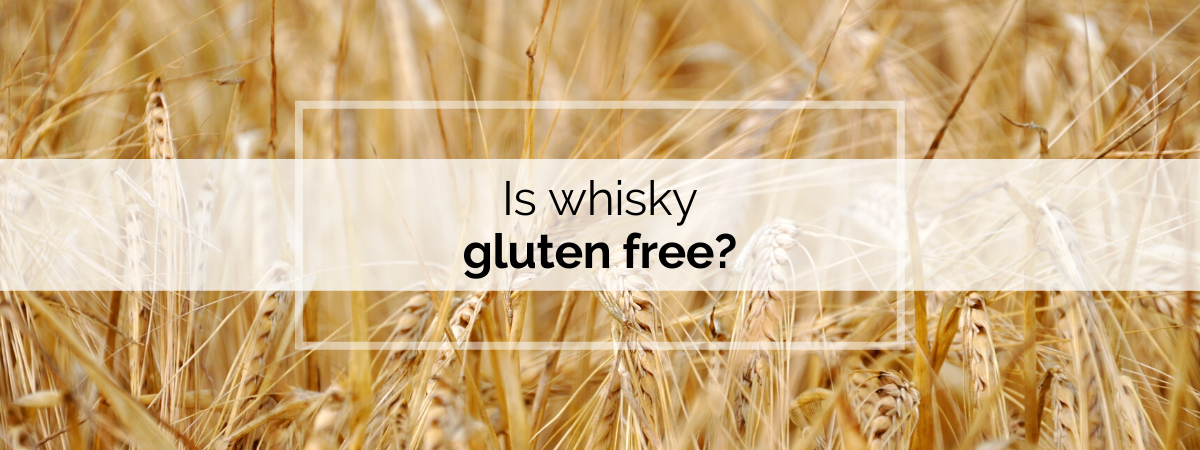 Is whisky gluten free