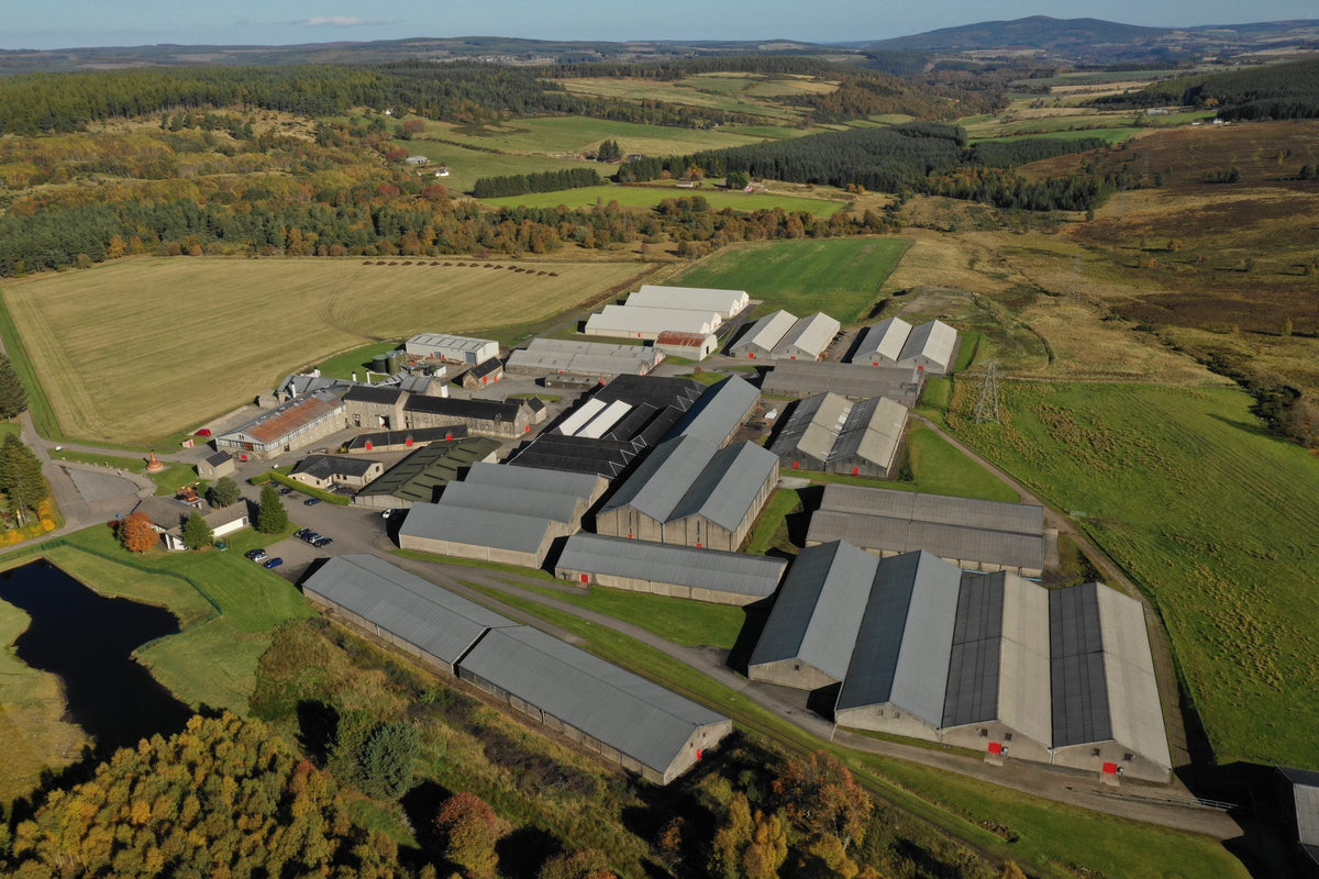 Glenfarclas Distillery: Six Generations, Direct Fire and Sherry Oak